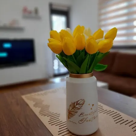 Petica Kovacevic Zlatibor