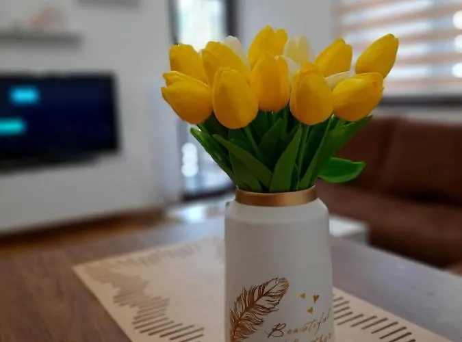 Petica Kovacevic Zlatibor