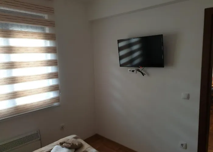 Apartment Petica Kovacevic *